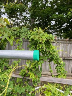 simple end cap to cover the open end of 1/2 inch and 1 inch conduit