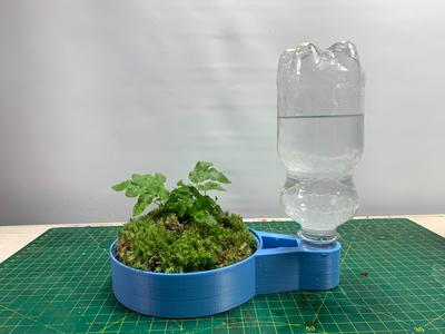 Self-Watering Lazy Flowerpot