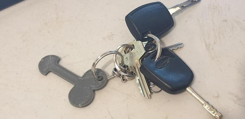 ALDI Trolley Token - Removable