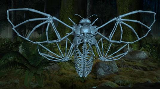 Deaths Head Hawkmoth Skeleton