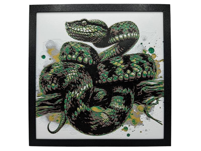 Bush Viper Snake