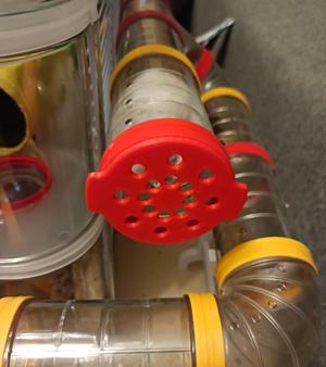 Blind plug for hamster tunnels