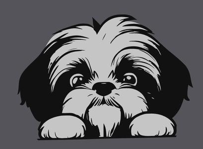 2D Bild eines Shi Tzu Hundes für die Fenster