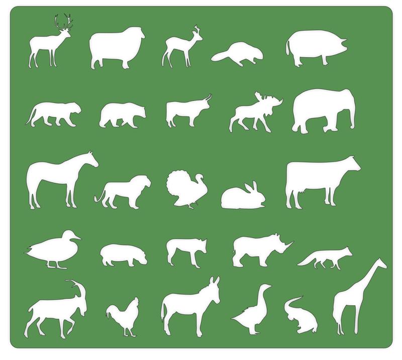 Animals Drawing Templates (fusion360)