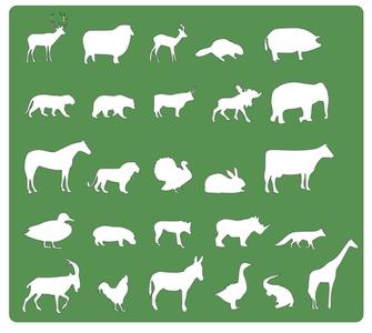 Animals Drawing Templates (fusion360)