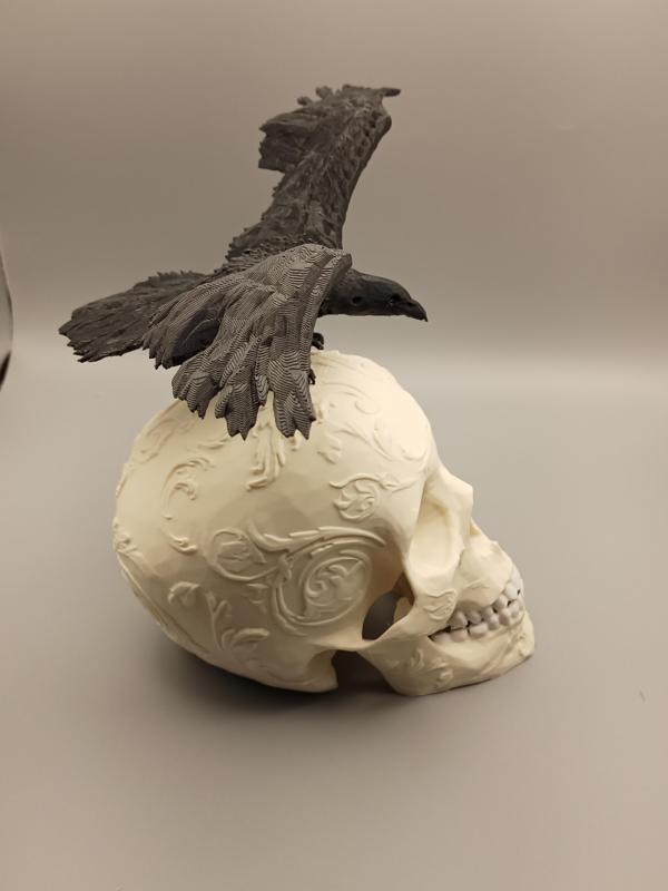 Ornamental Skull with Raven