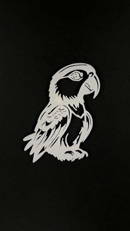 Parrot Wall Art #2