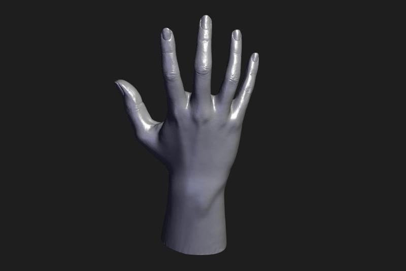 Hand - 3D Scanned by Revopoint MIRACO