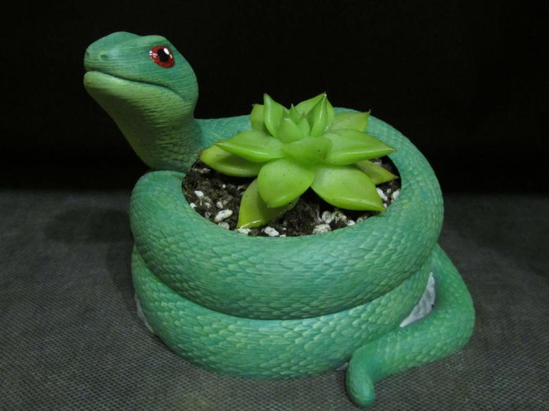 Snake Plant Pot (Easy print no support)