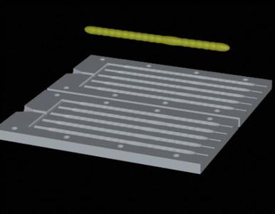 Fishing mold / form 13cm worm