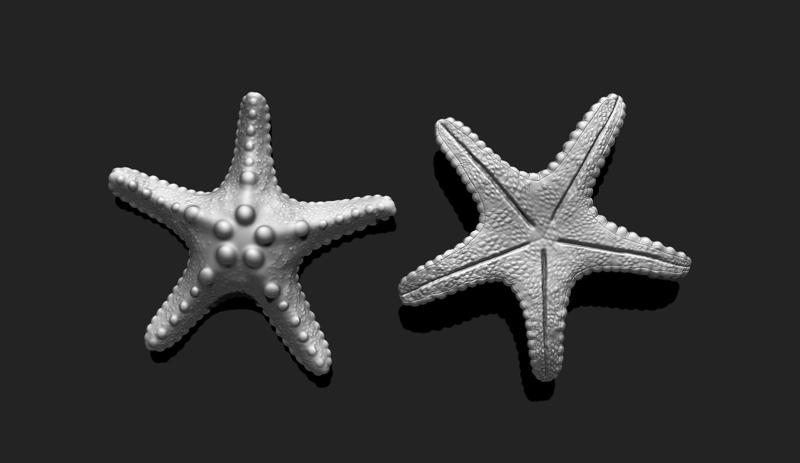 Starfish 2 - 3D Print - Aquarium - Sea Life