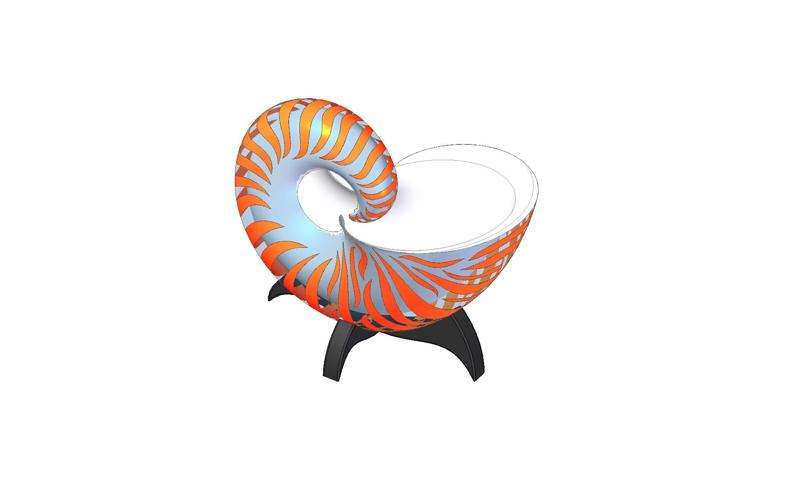 Nautilus Shell