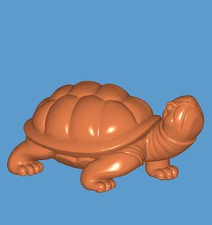 turtle