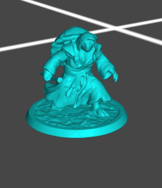 Turtle monk