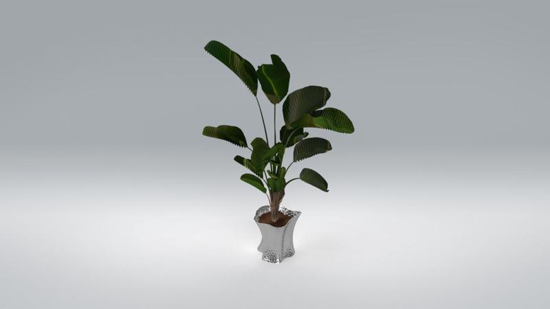 Sculptura Flora: Soumaya Bloom Pot