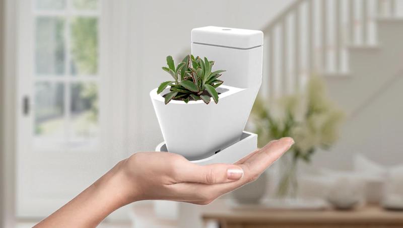 LE TOILET PLANT