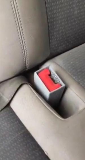 Seatbelt enclosure