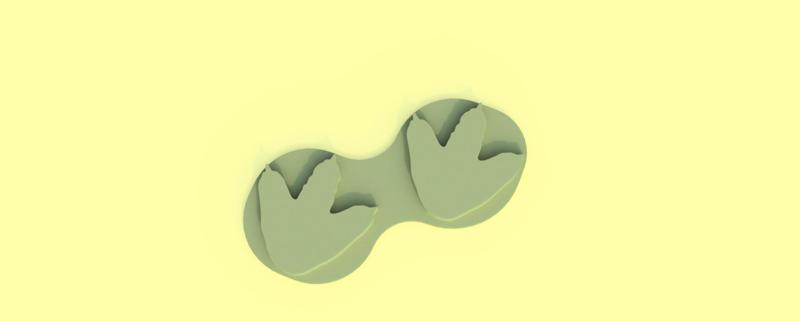 dino sand foot prints