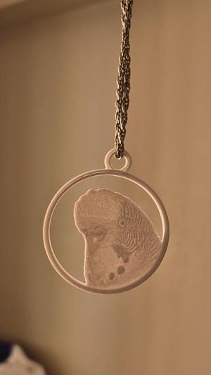 Cicikus kolyesi / budgie necklace