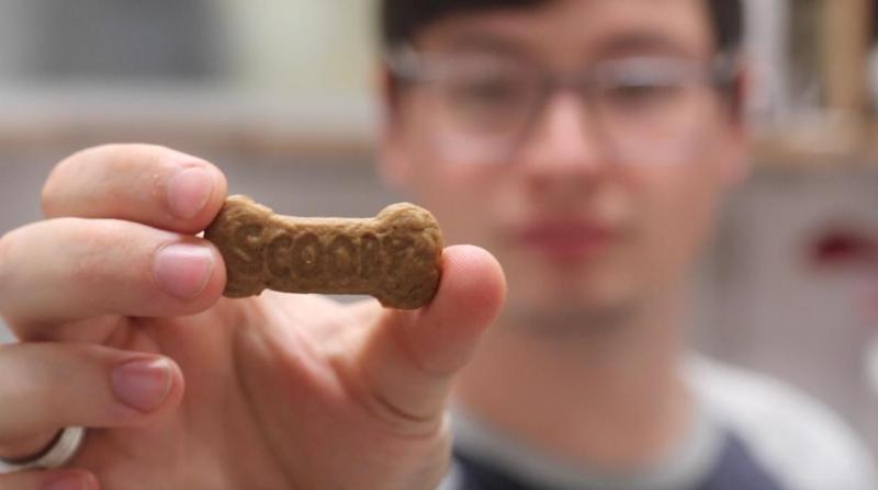 Biscoitos Scooby // Scooby Snacks