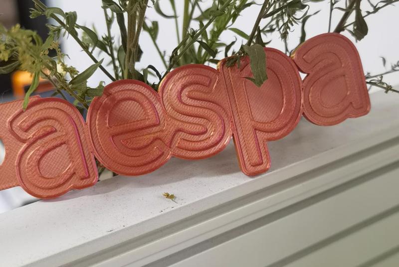 aespa Key Chain KPOP