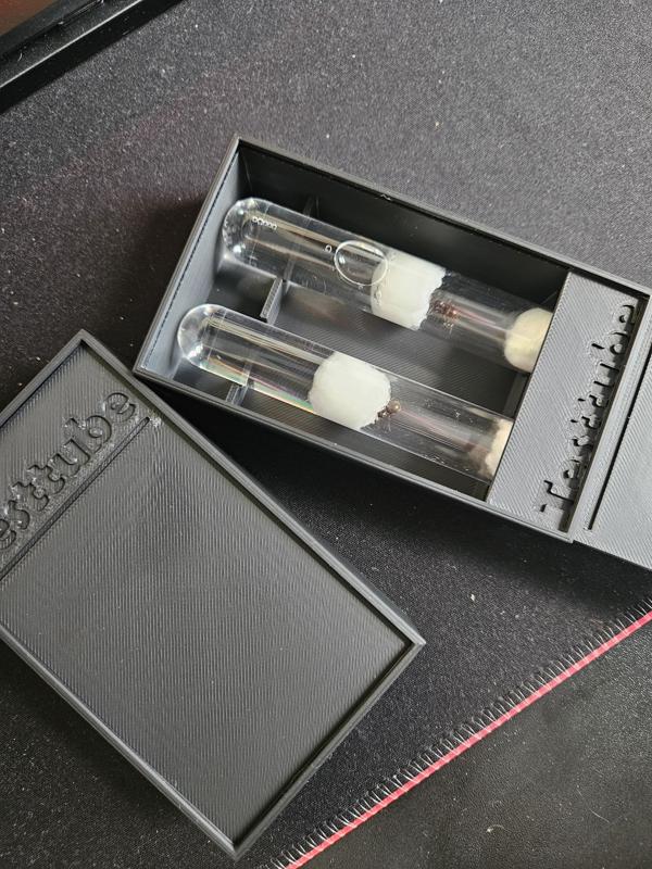 Testtube Box, Ant Queen, Reagenzglas, Ameisenkönigin