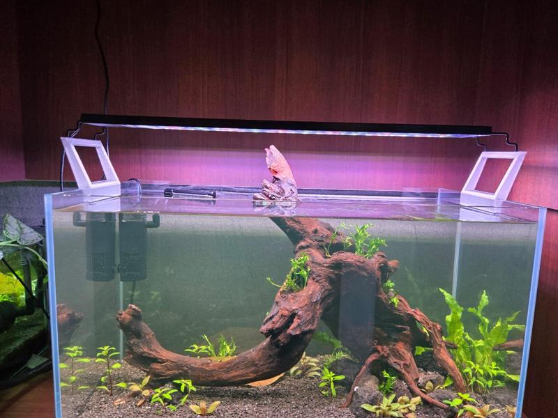 Aquarium light riser (offset)  