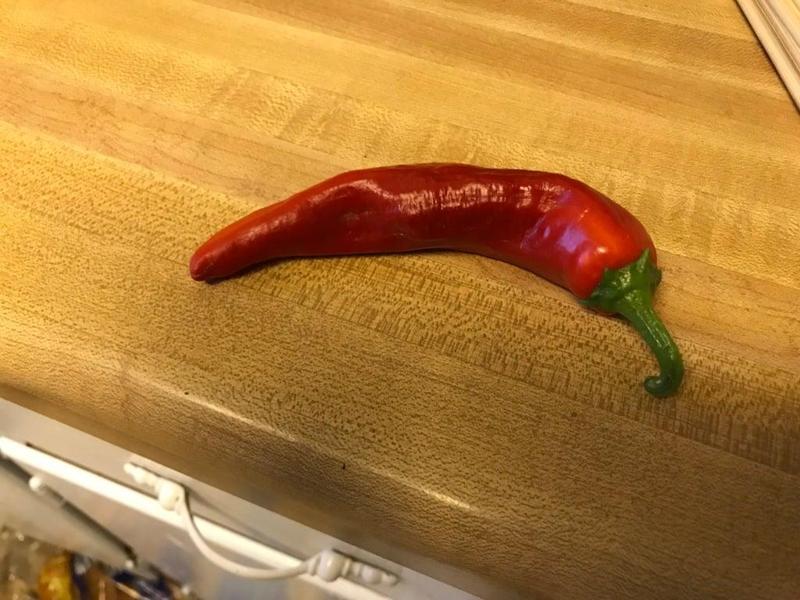Sandia Chile