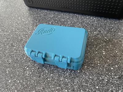 Audi Box. Waterproof. With Audi 1909 Logo. New.