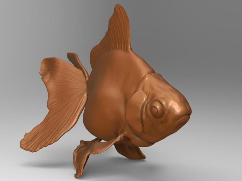 Pez. Fish