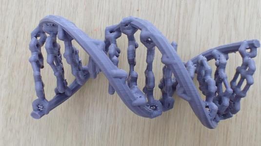 B-DNA dodecamer as cartoon with the base pairing