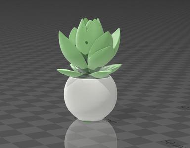 cute decorative plant