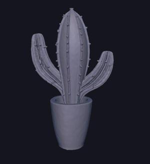 Cactus in a Jar