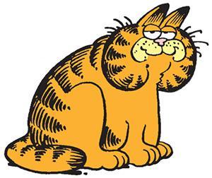 Garfield 1978