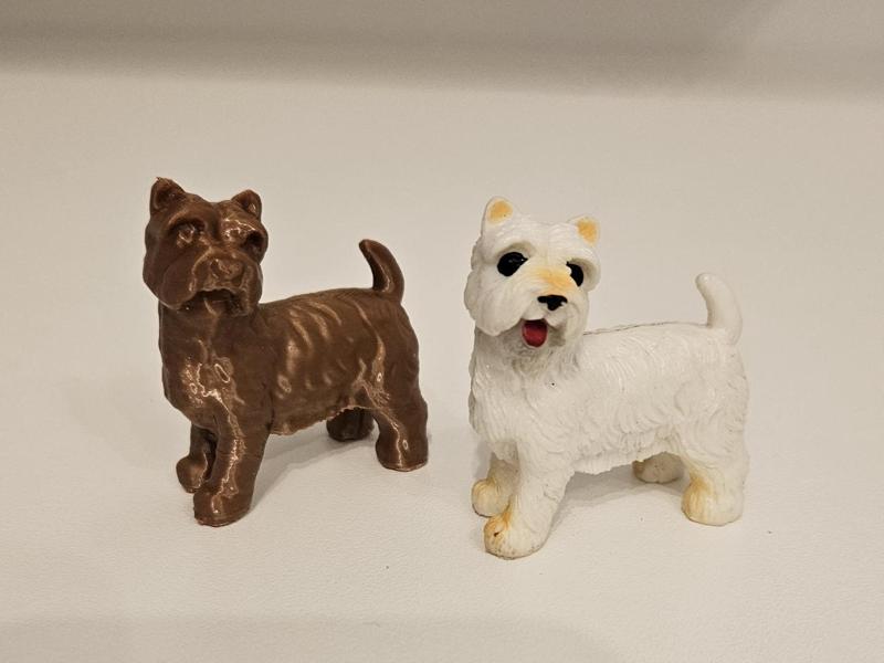 small dog - little dog