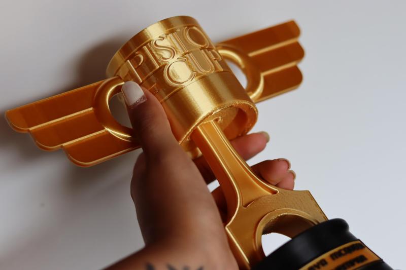Piston Cup Piston Cup