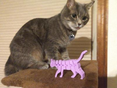 Flexi Cat