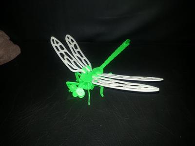 Dragon Fly 3D Puzzle
