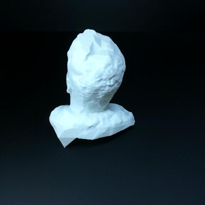 Untitled 3D Scan 2019-01-18