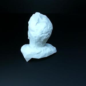 Untitled 3D Scan 2019-01-18