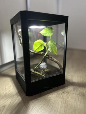 Terrarium