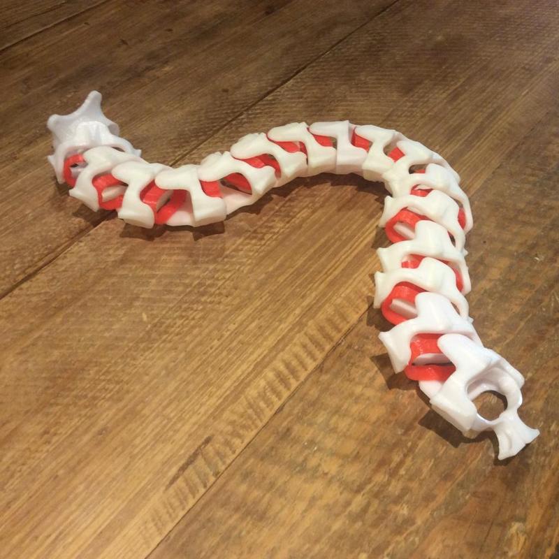 Spine - Cable Carrier