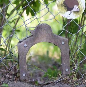 Hedgehog Door