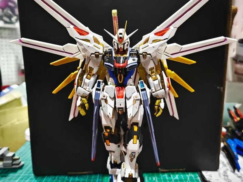 Proud Defender for MGEX Strike Freedom Gundam V1.0