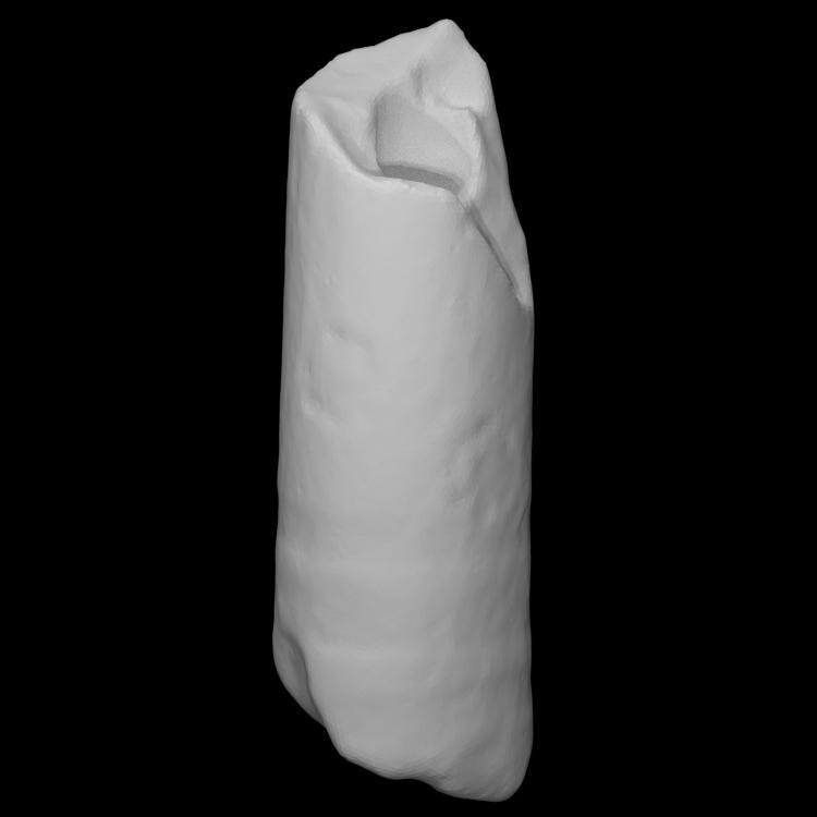 Bookbinder Smoking Pipe