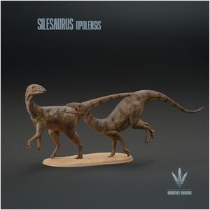 Silesaurus opolensis : Couple