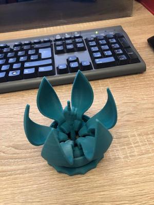 Blooming Flower Gift Box Middle Finger