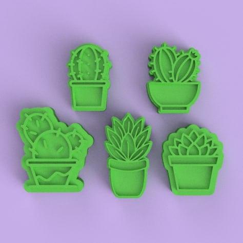 cactus and succulent stamp set / cactus and succulent stamp set