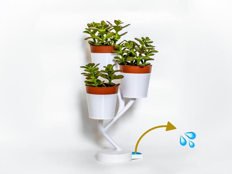 Biohazard - Flower Port