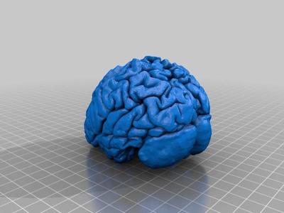 Human Brain Remix